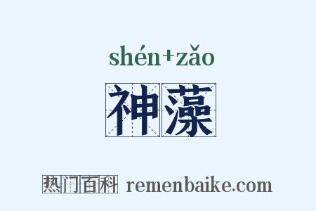 神藻是什么意思的图片